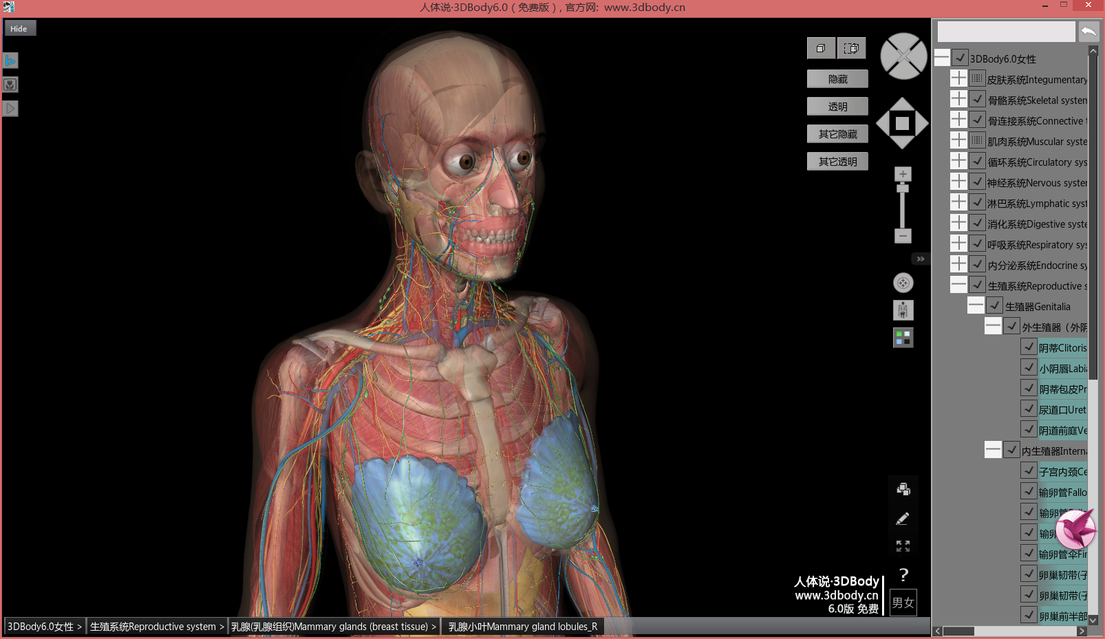 超级无敌3d解剖神器人体说3dbody60个人免费版