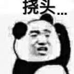 爱吃辣条的熊猫