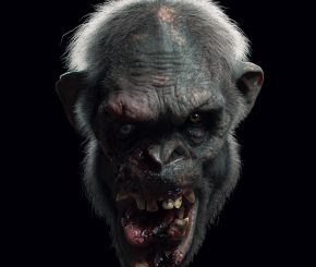Infected Chimp