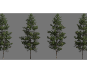 tree_asset