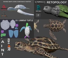 【完整流程】ZB雕刻到SP贴图全流程制作海龟3D模型、贴图教程