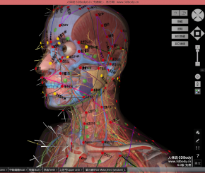 超级无敌3D解剖神器《人体说3DBody6.0》 个人免费版