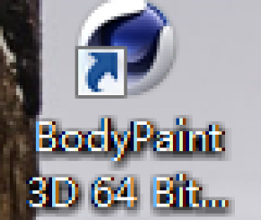 bodypaint 3D  r15