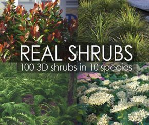 Real Shrubs for 3ds max only 真的3D 灌木模型库