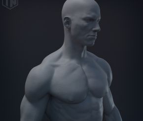 Anatomy_Study