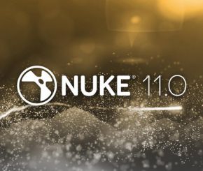 The Foundry Nuke 11.3v3 Win  XForce注册机和谐版