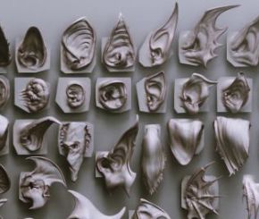 40个ZBrush怪物生物耳朵笔刷模型预设