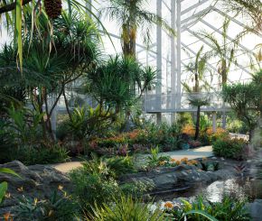 花园植物3D模型Bundle 14 – Tropical Garden 02 