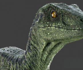 Maya迅猛龙恐龙3D模型 Raptor Maya Rig