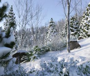 3DS MAX冬天雪覆盖植物树木3D模型 NM-Lab – Svaeren Winter Pack