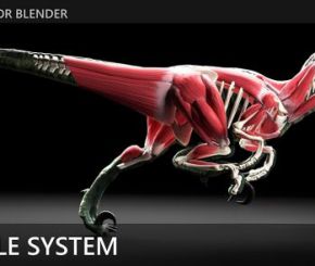 Blender肌肉系统模拟插件 X-Muscle System 4.0
