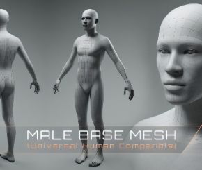 Blender男性身体3D模型 Universal Human Male Base Mesh v2.1