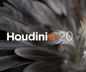 SideFX Houdini FX 20.5.278+20.0.547 Win X-Force注册机和谐版