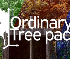 Blender树木植物资产预设 Ordinary Tree Pack