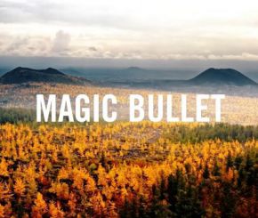 红巨星调色套装 Red Giant Magic Bullet Suite V2024.3.1 Win/Mac 中文版/英文版/和谐版