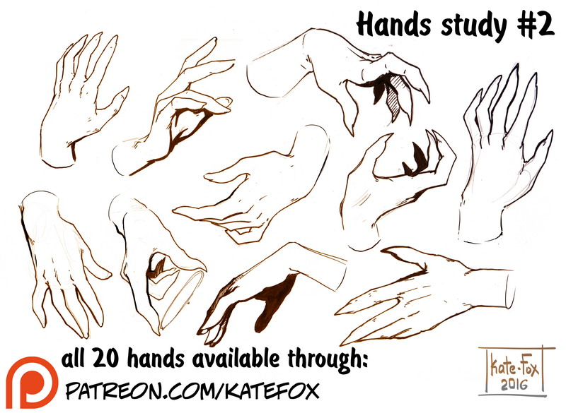 Hands study 02.jpg