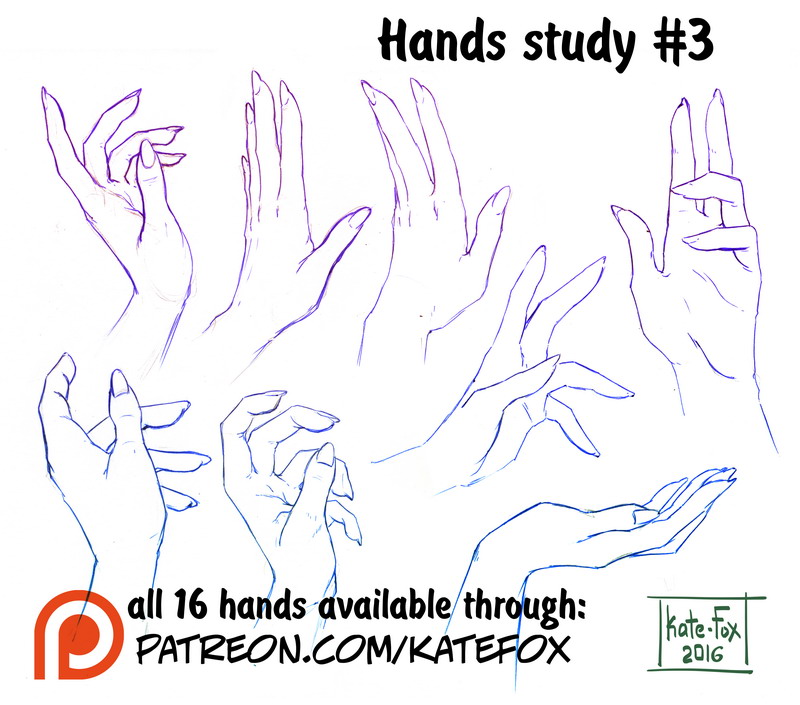Hands study 03.jpg