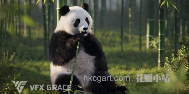 VFX-Grace-Panda-Animation_副本_upscayl_4x_ultrasharp_副本.jpg