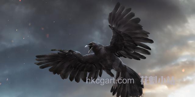 DisneyTD-Crow-Fur-Anatomy_副本_upscayl_4x_ultrasharp_副本.jpg