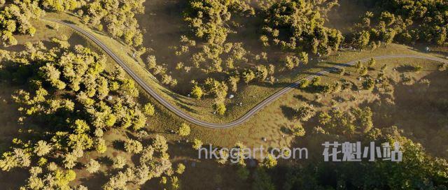 Highly-Modular-Forest-Road-Scene_副本.jpg