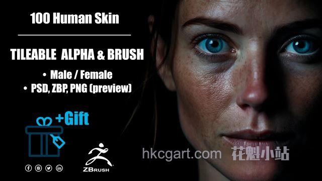 Artstation-Human-Skin-Kit-Tileable-Alpha-and-Brush_副本.jpg