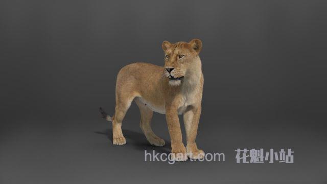 Female-Lion-Rigged-VFX-Grace-Blender_副本.jpg