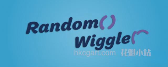 Random-Wiggler_副本.jpg