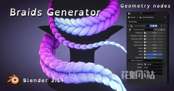 Braids-Generator_副本.jpg